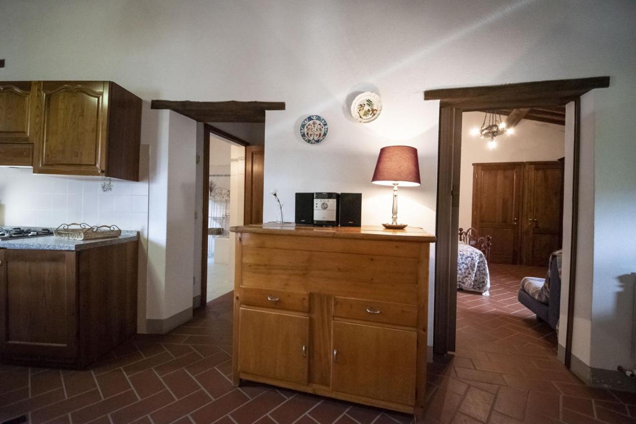 Apartamento Casa Selvolini - Volpaia Radda in Chianti Exterior foto